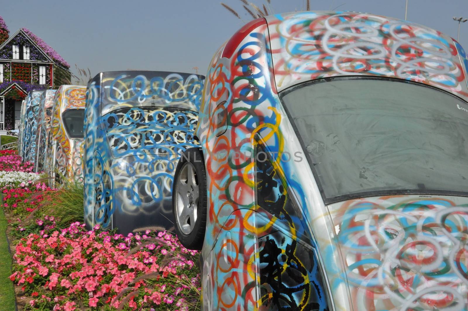 Dubai Miracle Garden in the UAE. It has over 45 million flowers.