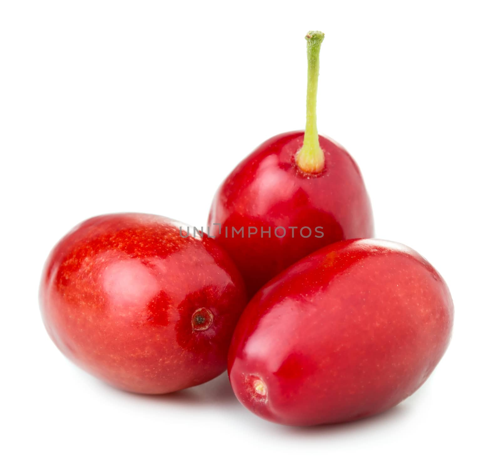 Three cornel berries isolated on white background