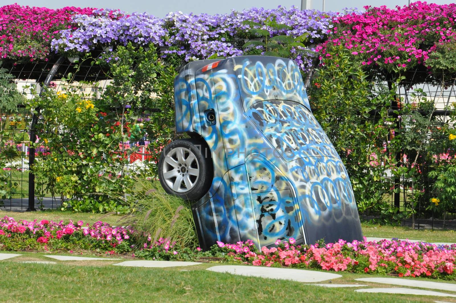 Dubai Miracle Garden in the UAE. It has over 45 million flowers.