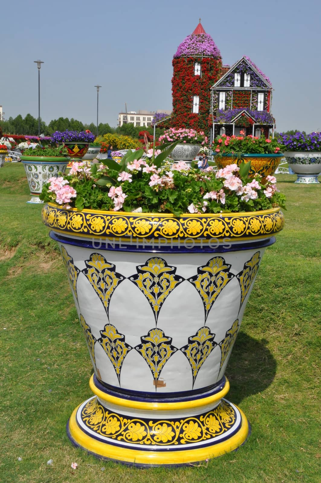 Dubai Miracle Garden in the UAE. It has over 45 million flowers.