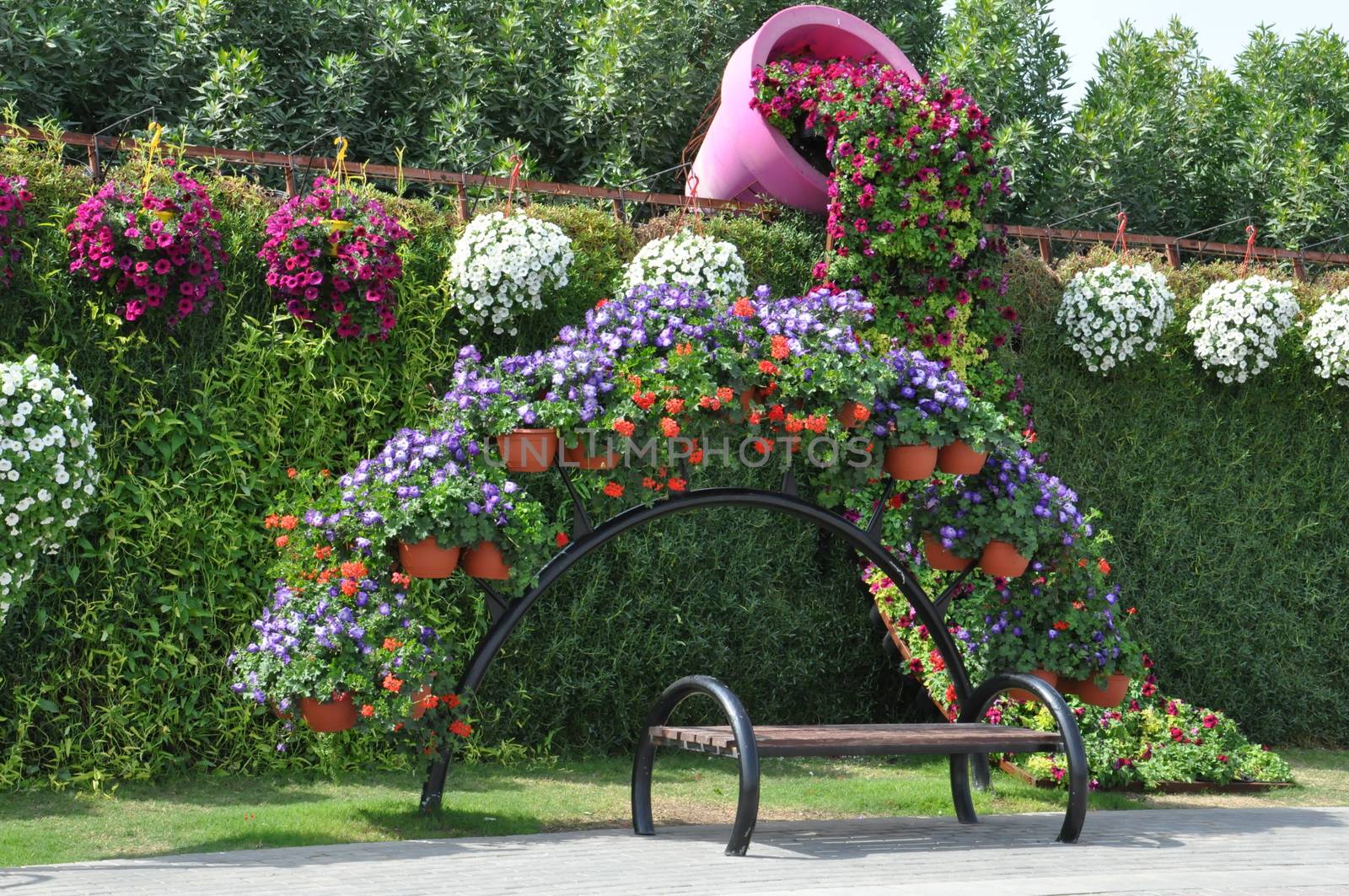 Dubai Miracle Garden in the UAE. It has over 45 million flowers.