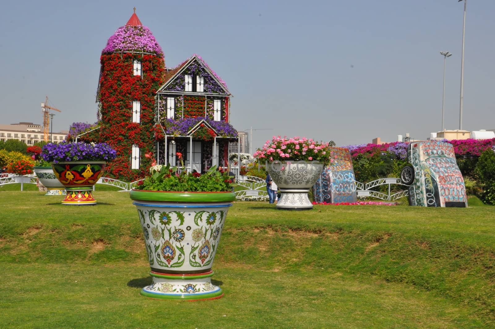 Dubai Miracle Garden in the UAE. It has over 45 million flowers.