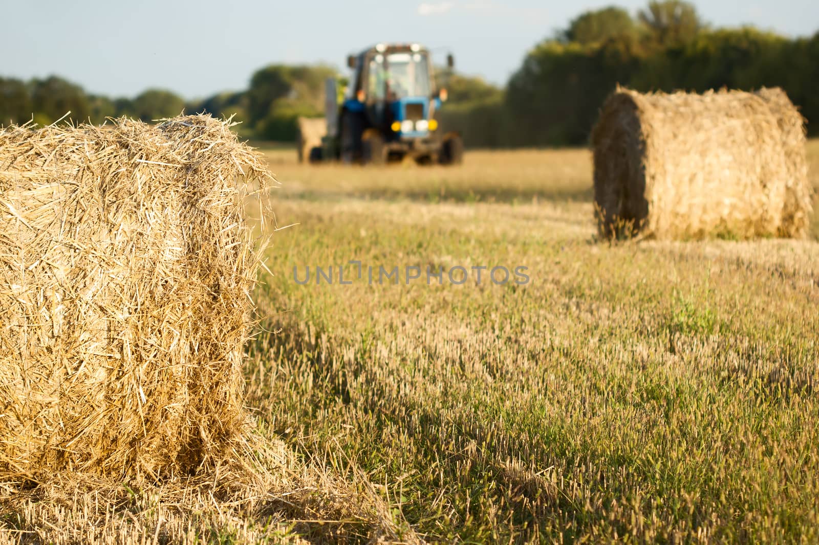 Tractor throwing out hay roll