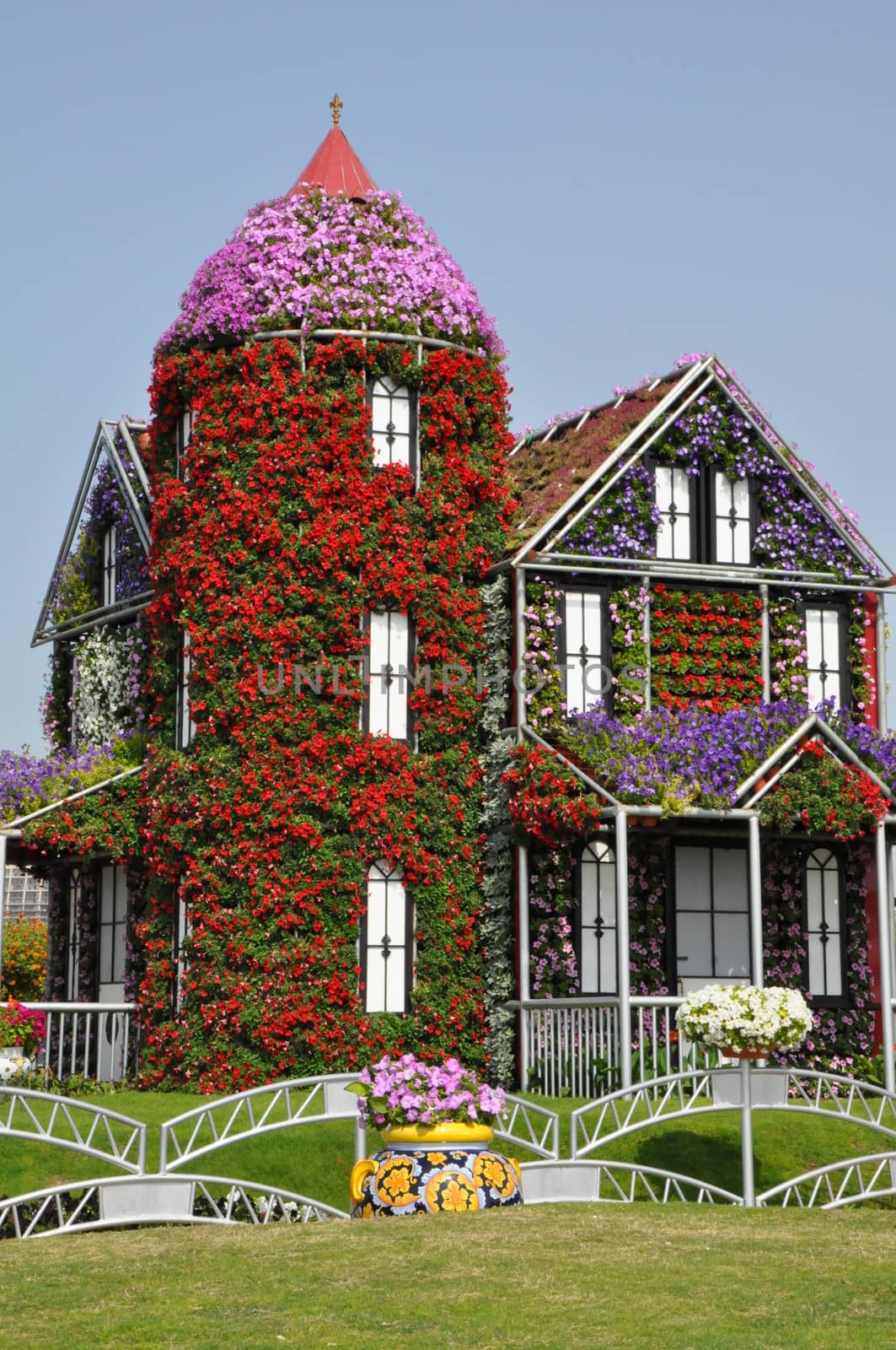 Dubai Miracle Garden in the UAE. It has over 45 million flowers.