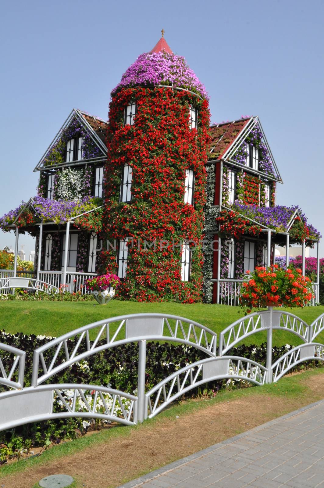 Dubai Miracle Garden in the UAE by sainaniritu