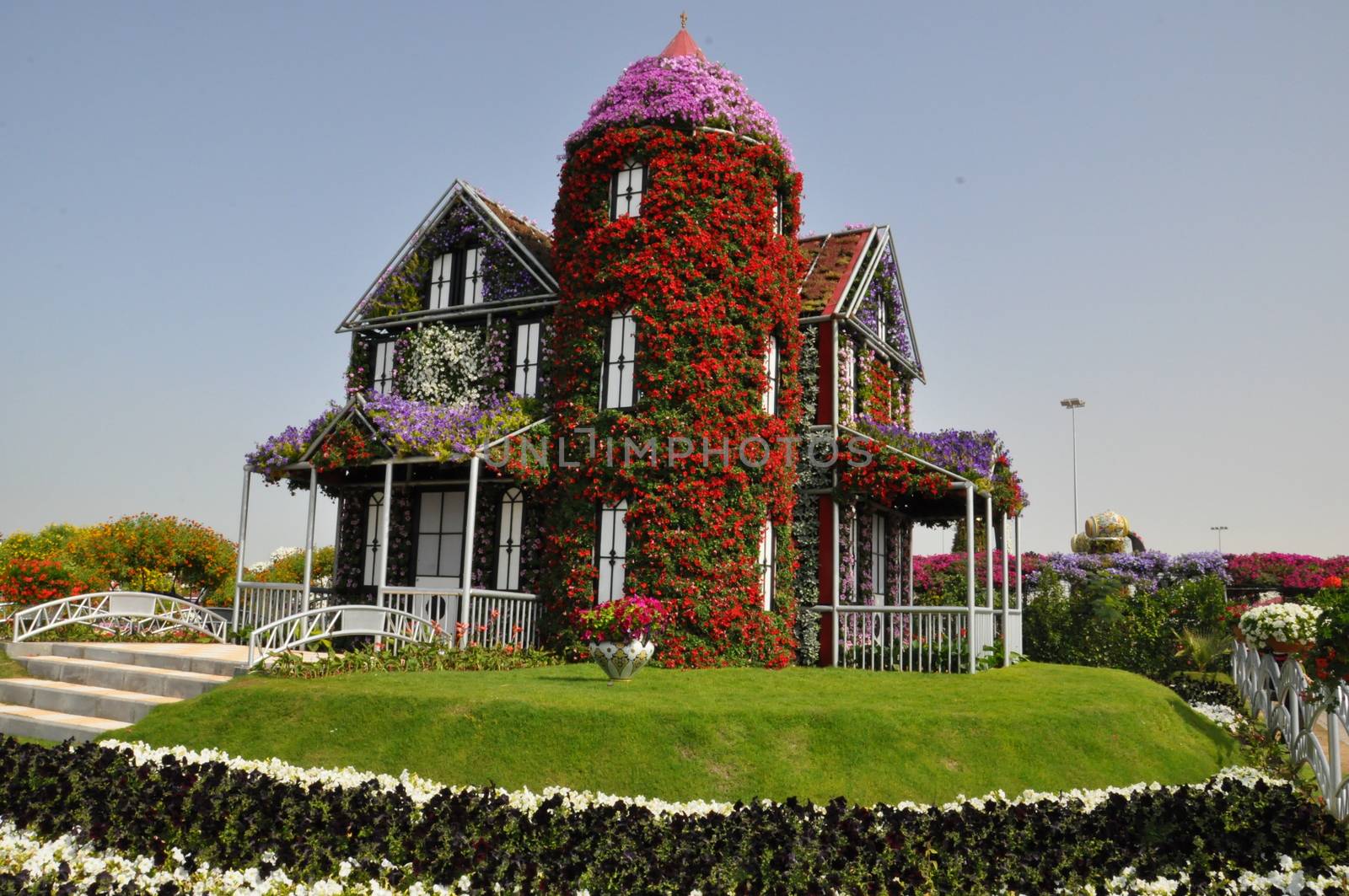 Dubai Miracle Garden in the UAE. It has over 45 million flowers.