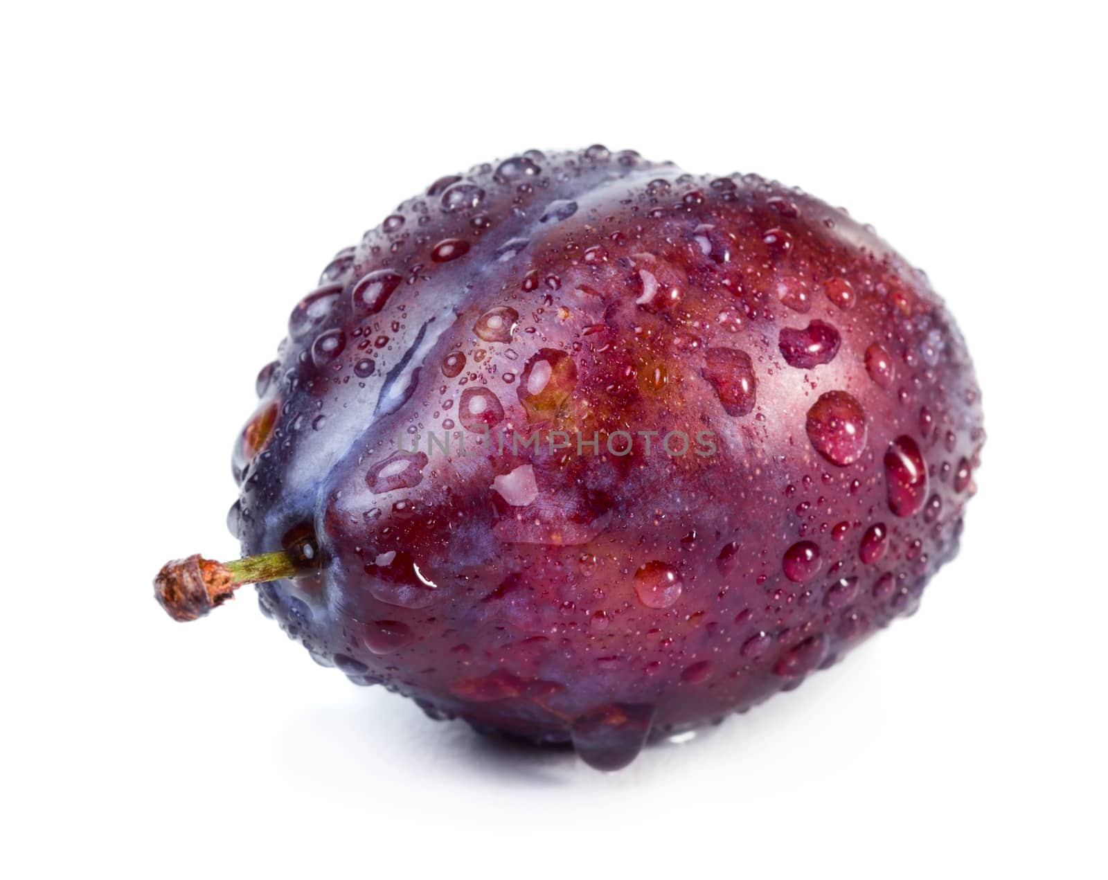 Plum with water drops isolated on white background