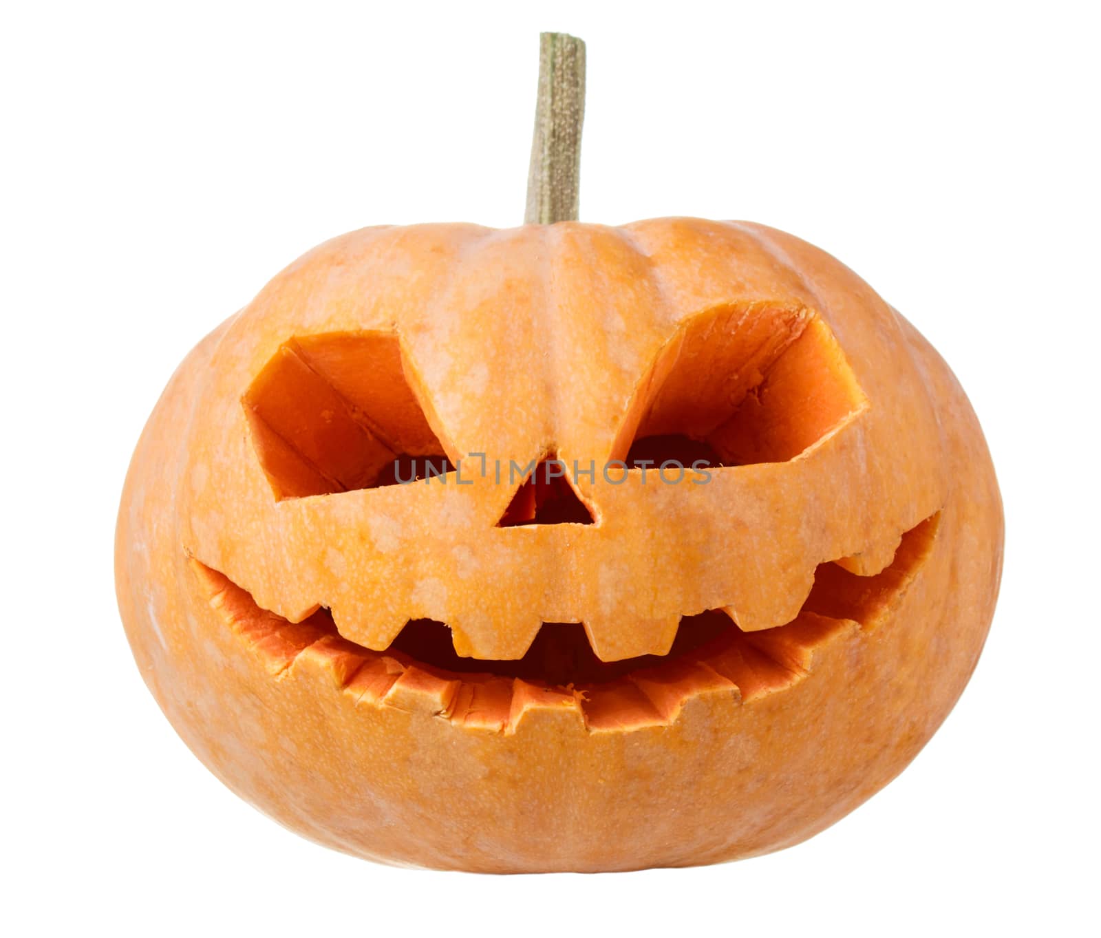 Pumpkin halloween Jack O Lantern isolated white