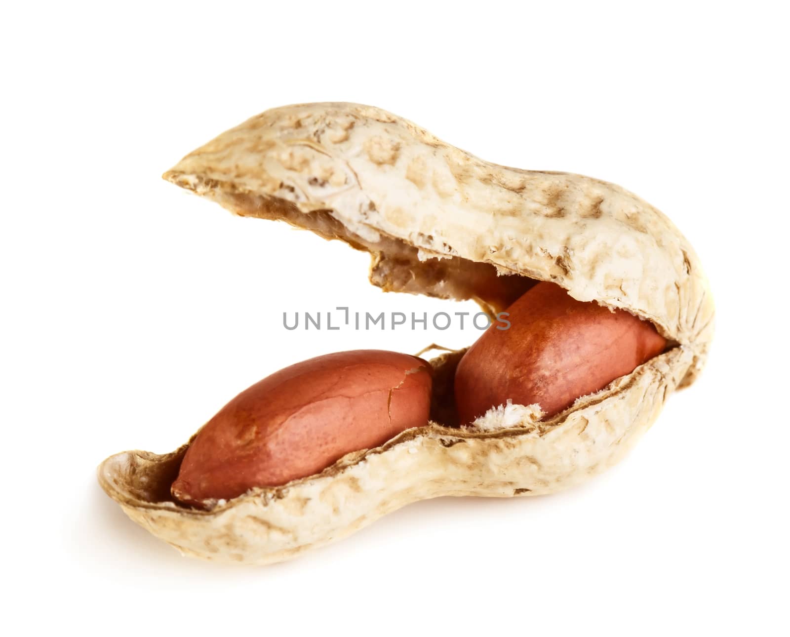 Peanut isolated on white background