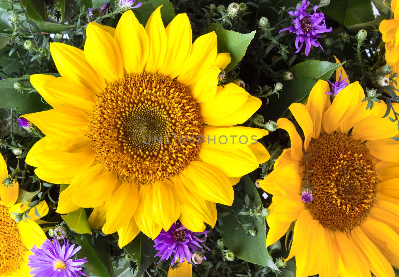 Bouquet with sunflowers by Valengilda
