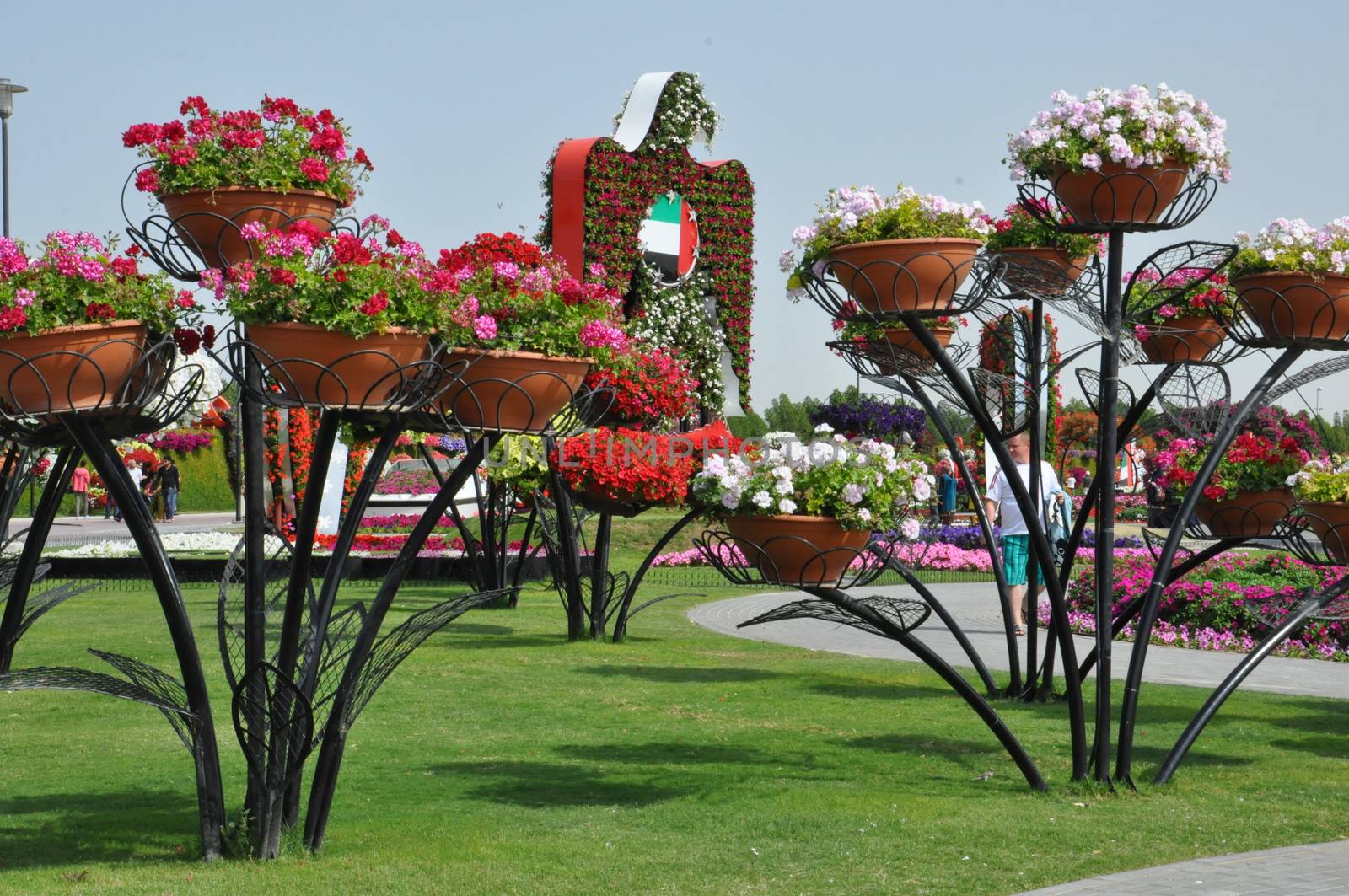 Dubai Miracle Garden in the UAE. It has over 45 million flowers.