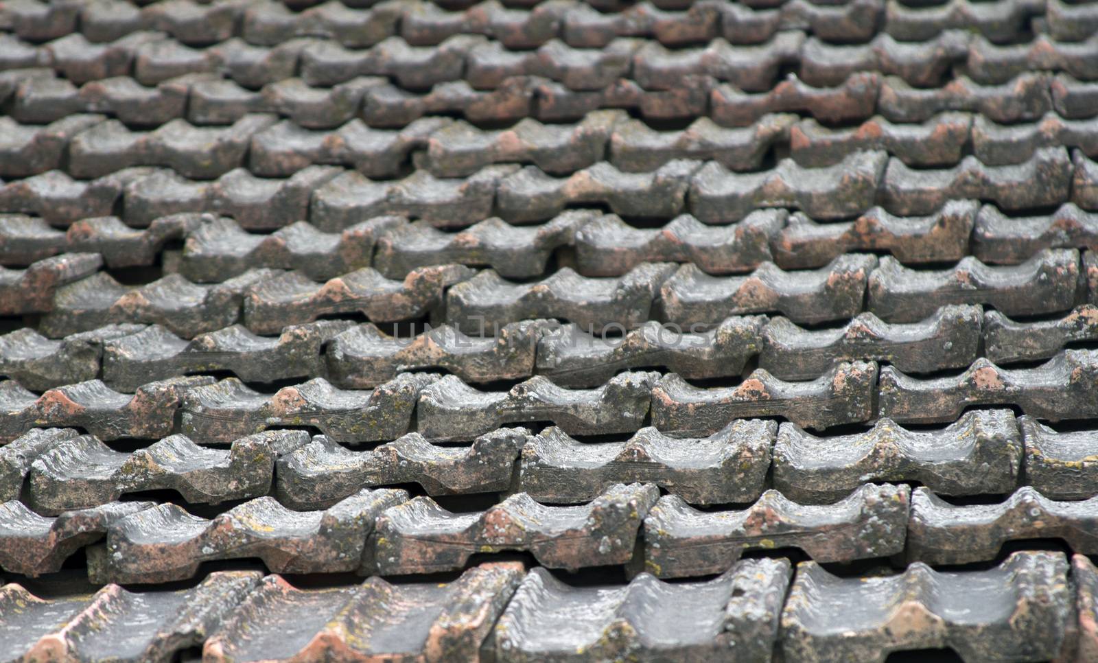 The roof of an old house covered with gray tiles by mcherevan