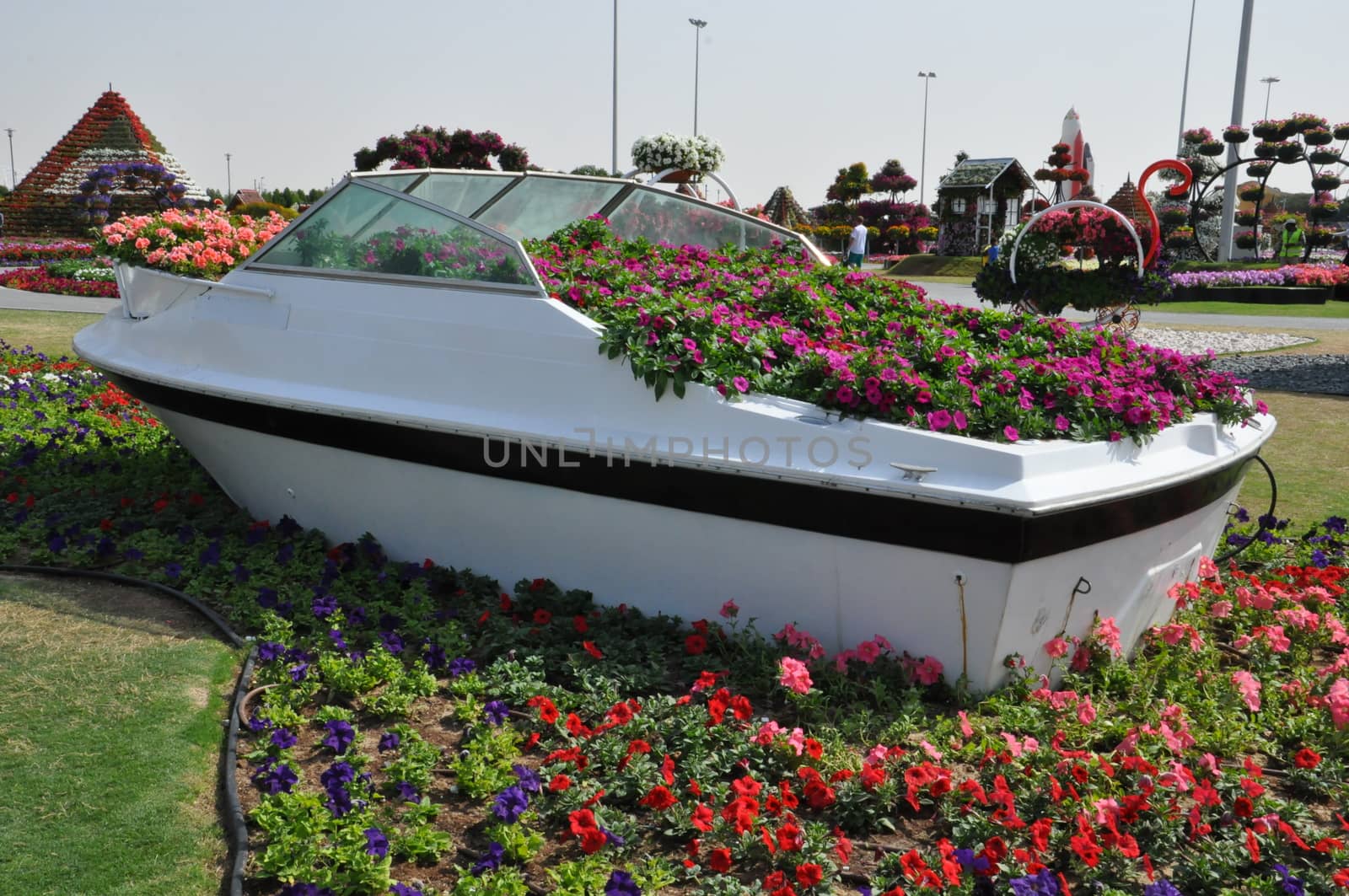 Dubai Miracle Garden in the UAE. It has over 45 million flowers.