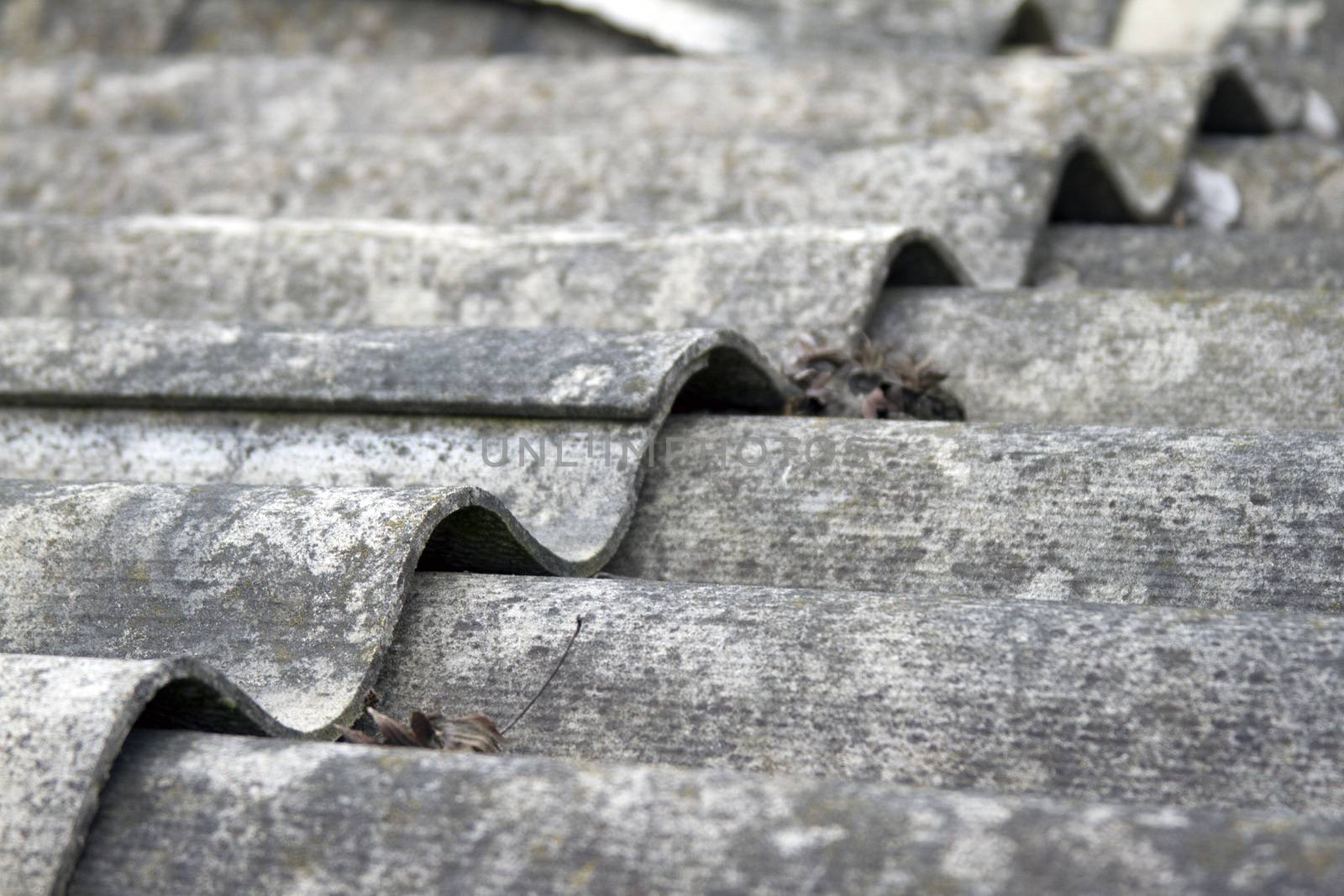 The roof of an old house covered with gray tiles.