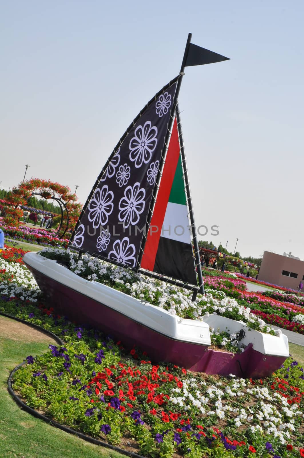 Dubai Miracle Garden in the UAE. It has over 45 million flowers.