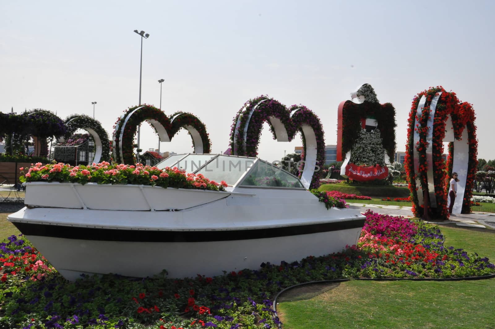 Dubai Miracle Garden in the UAE. It has over 45 million flowers.