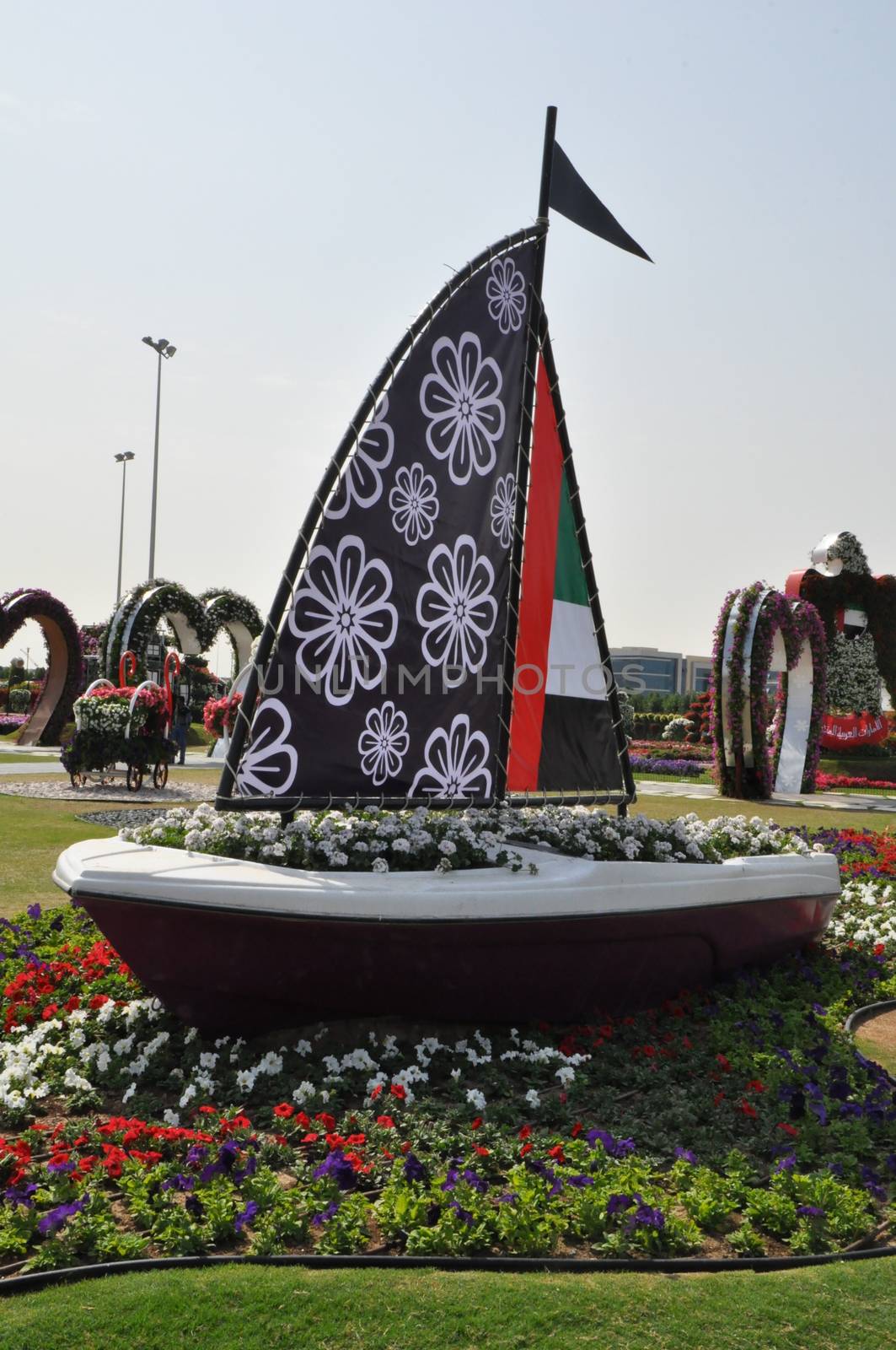 Dubai Miracle Garden in the UAE. It has over 45 million flowers.