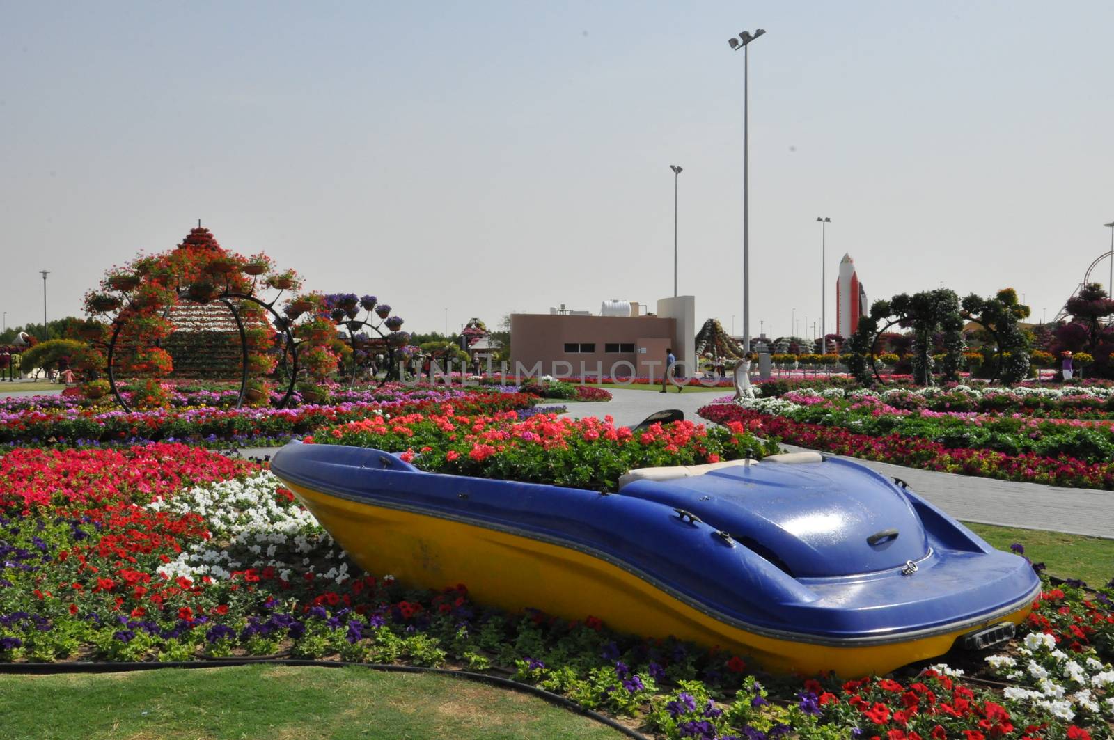 Dubai Miracle Garden in the UAE. It has over 45 million flowers.