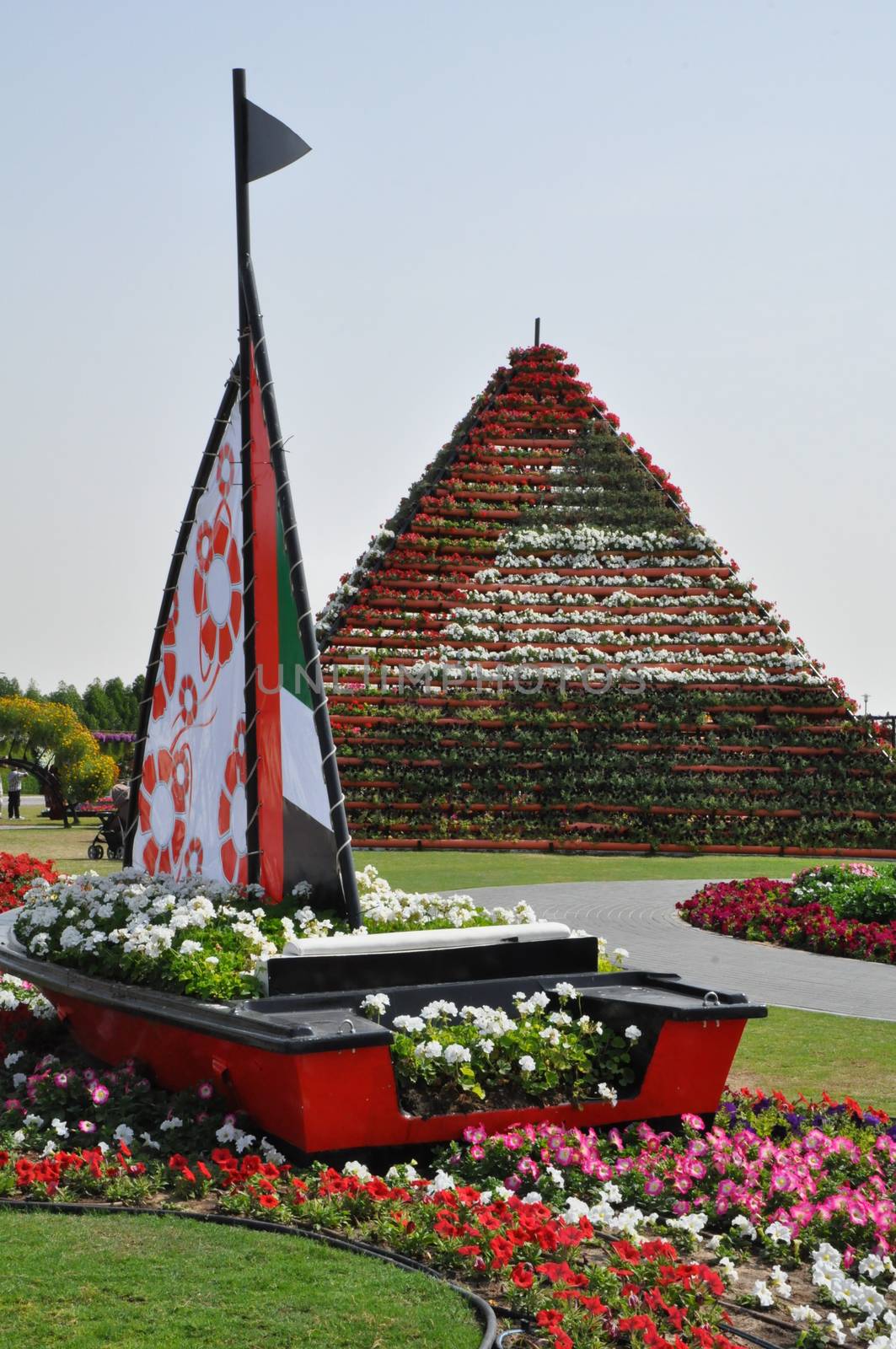 Dubai Miracle Garden in the UAE. It has over 45 million flowers.