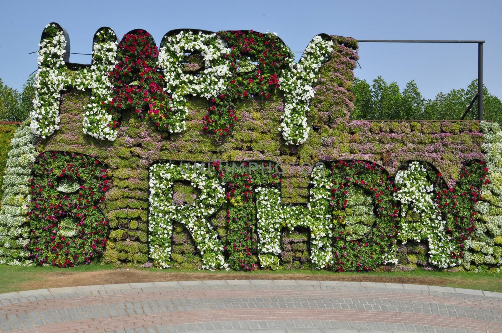 Dubai Miracle Garden in the UAE. It has over 45 million flowers.