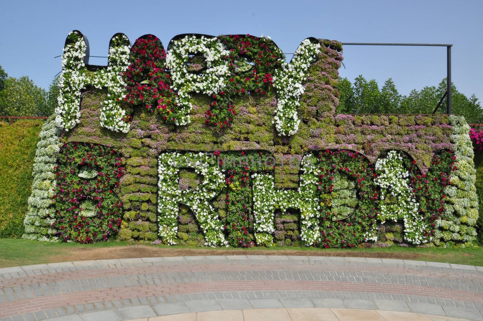 Dubai Miracle Garden in the UAE. It has over 45 million flowers.