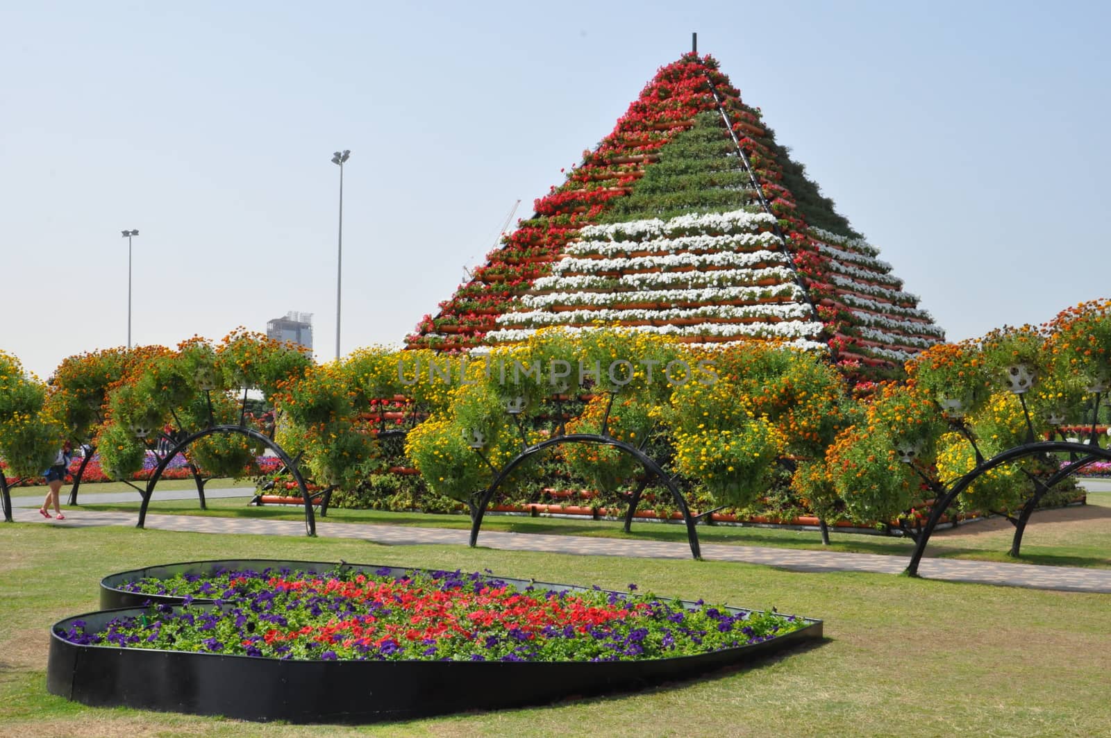 Dubai Miracle Garden in the UAE. It has over 45 million flowers.