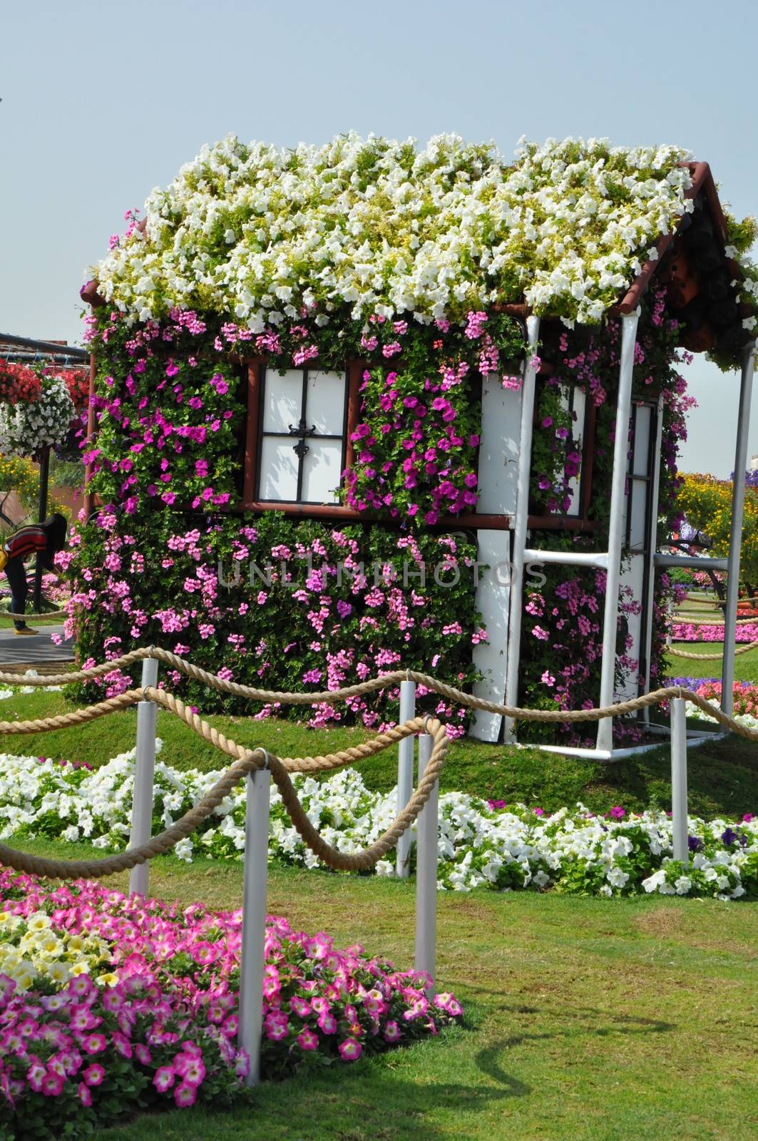 Dubai Miracle Garden in the UAE. It has over 45 million flowers.