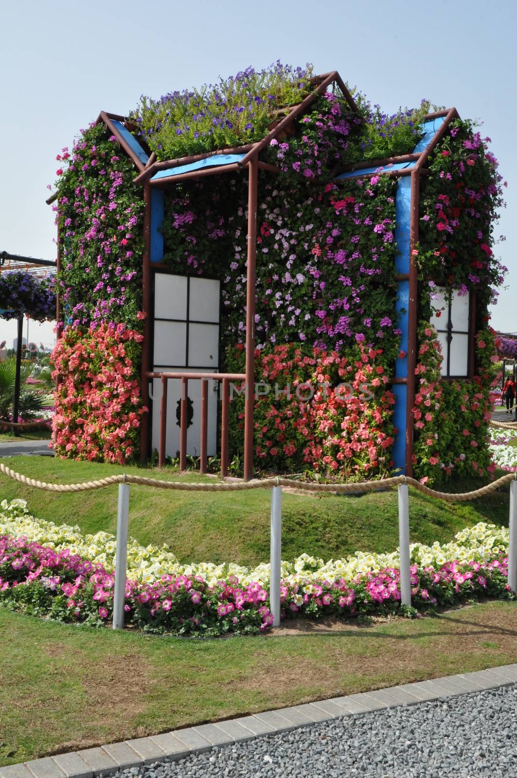 Dubai Miracle Garden in the UAE. It has over 45 million flowers.