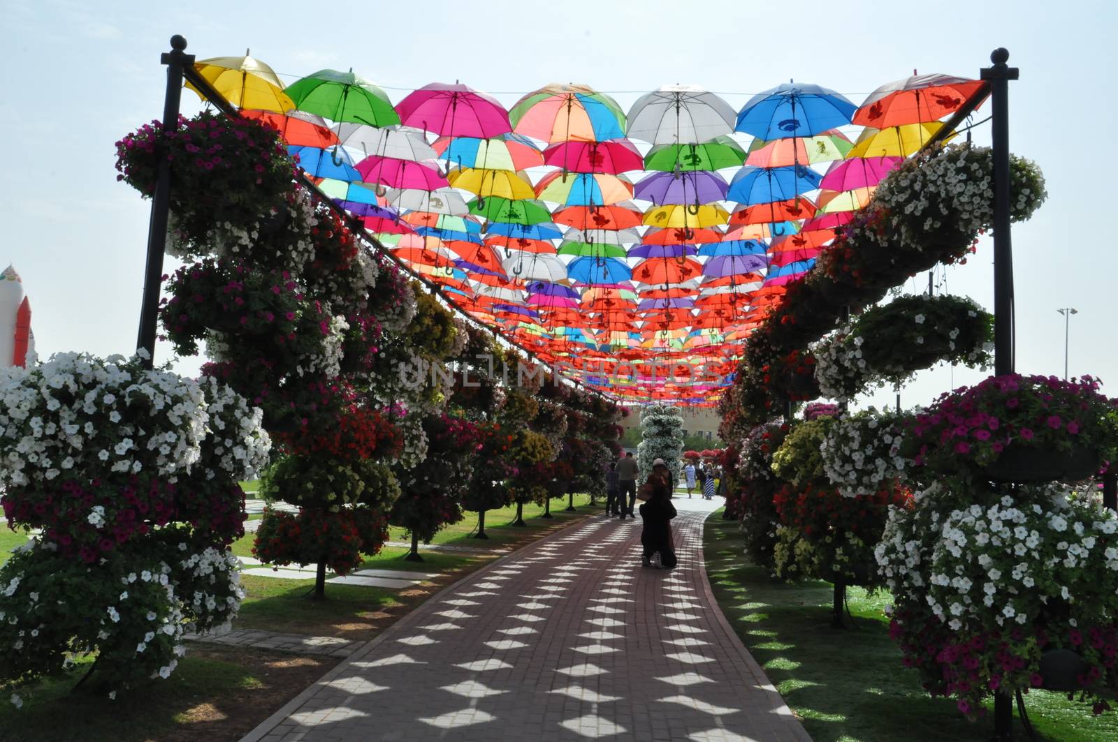 Dubai Miracle Garden in the UAE by sainaniritu