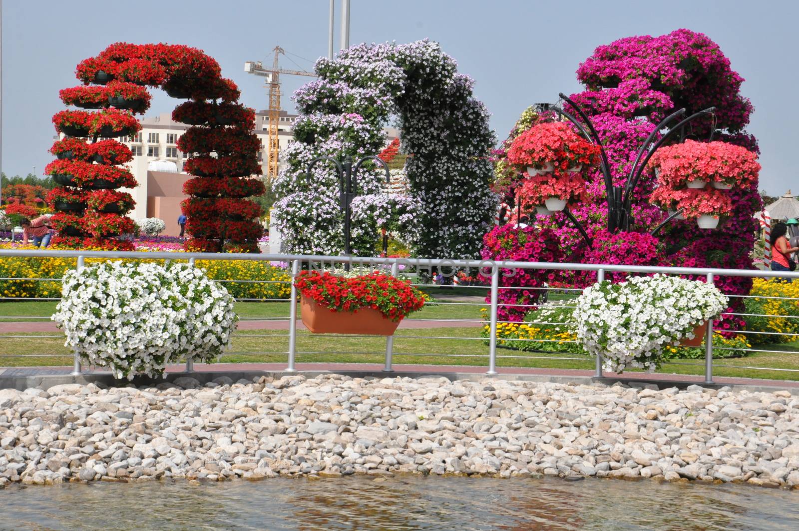 Dubai Miracle Garden in the UAE by sainaniritu