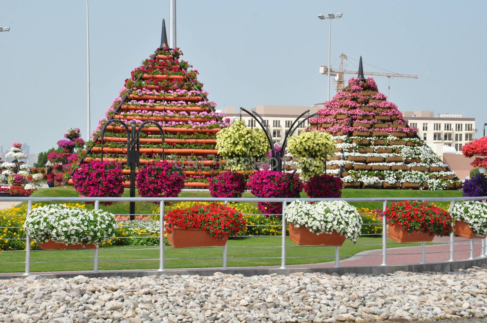 Dubai Miracle Garden in the UAE by sainaniritu