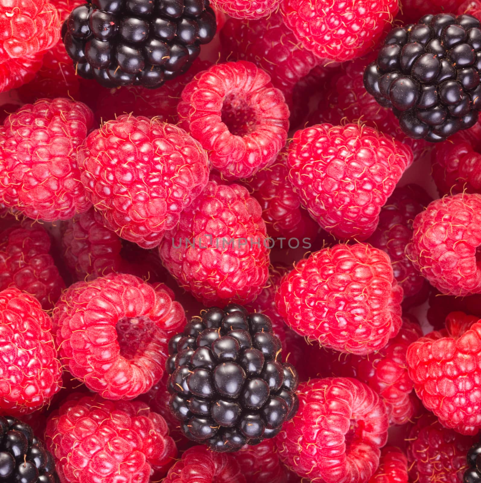 Blackberries and raspberries background