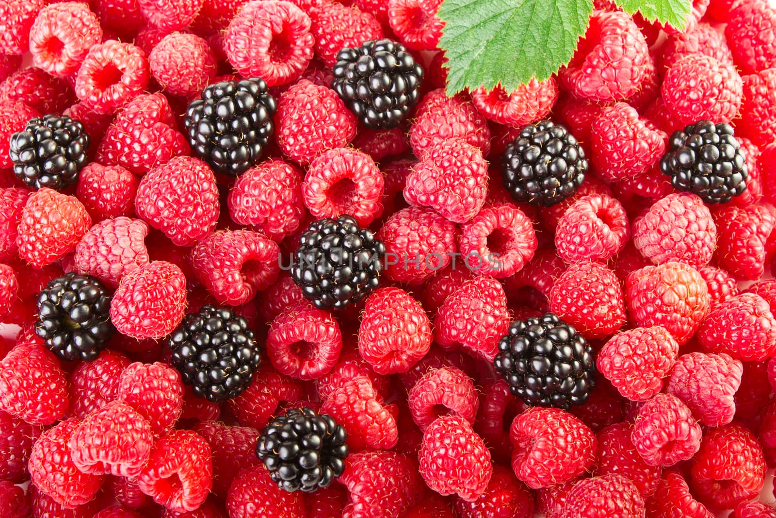 Raspberries and blackberries bacground
