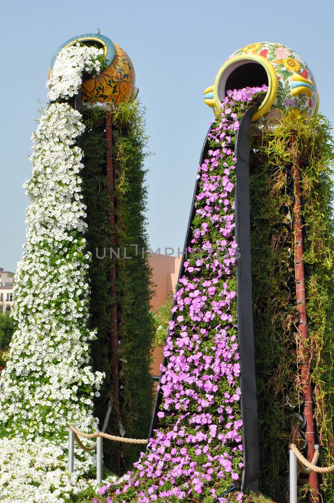 Dubai Miracle Garden in the UAE by sainaniritu
