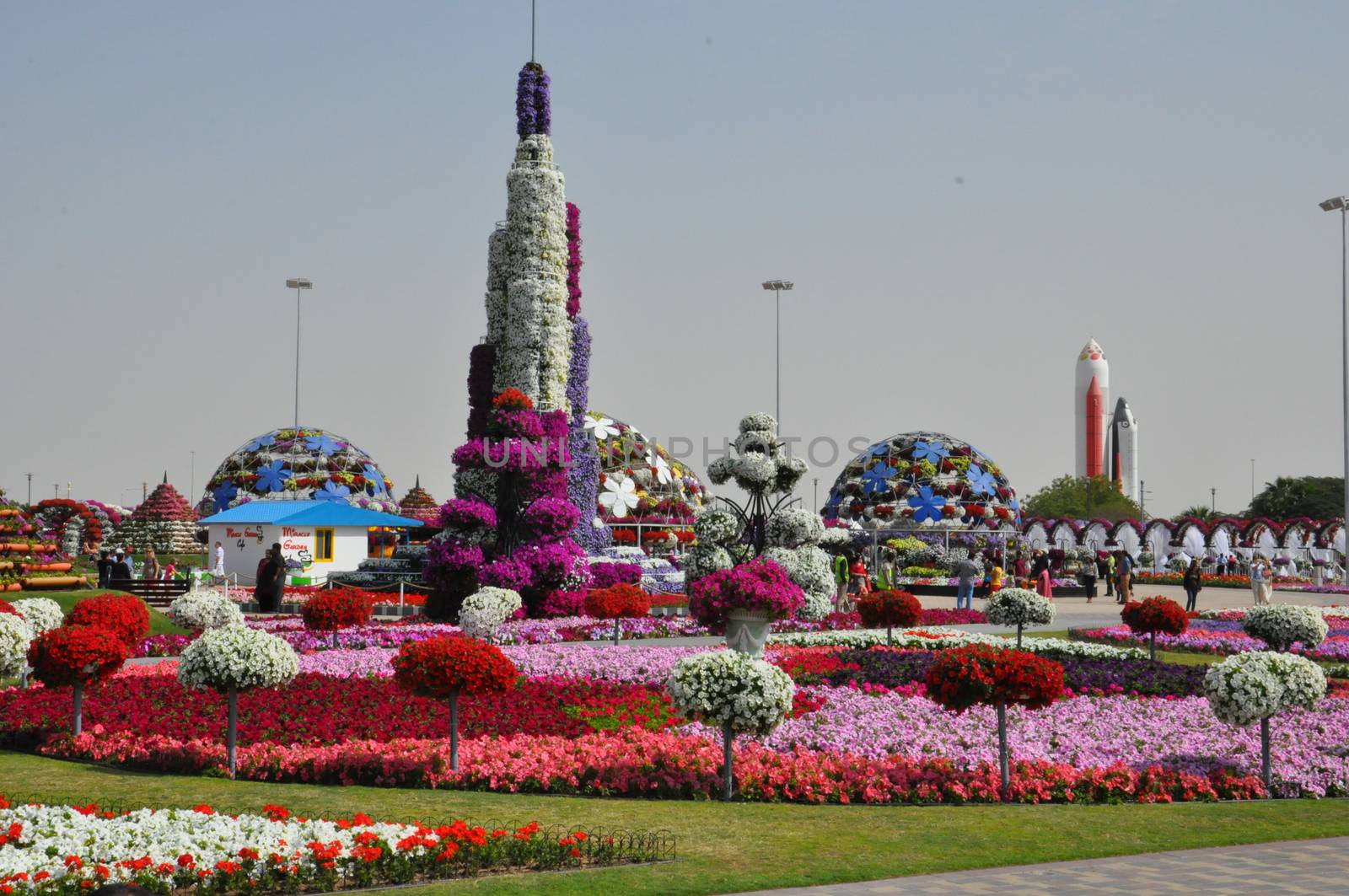 Dubai Miracle Garden in the UAE by sainaniritu