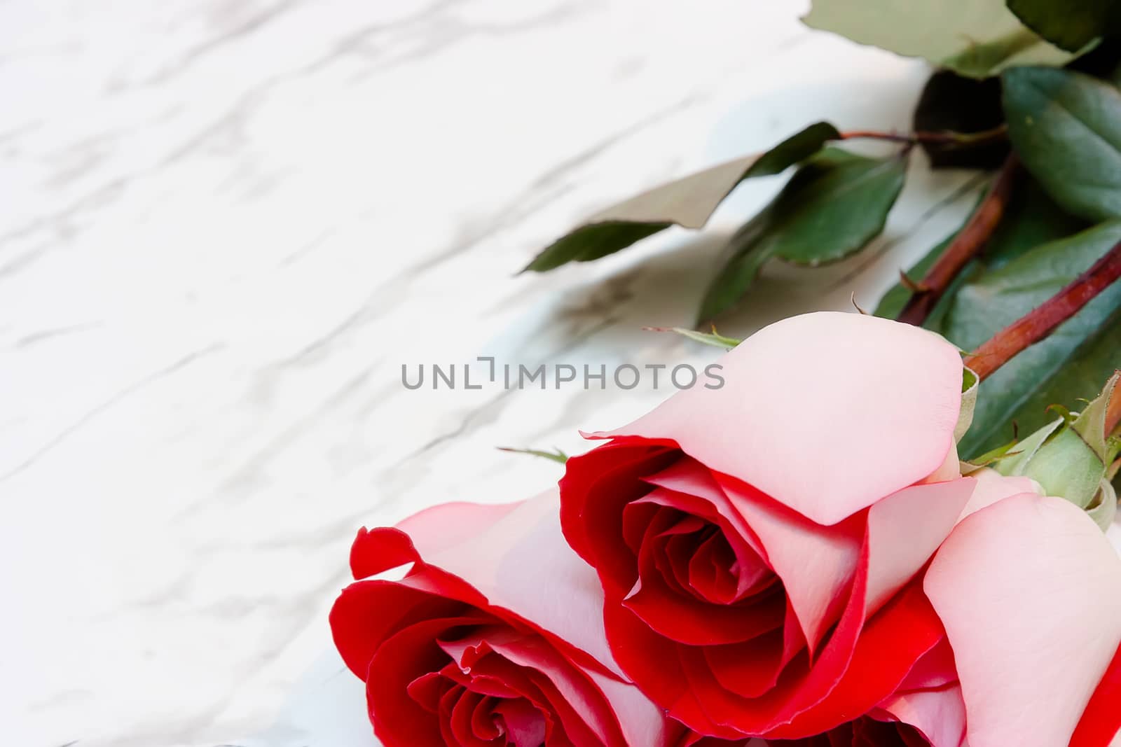 Three red roses on a marble background