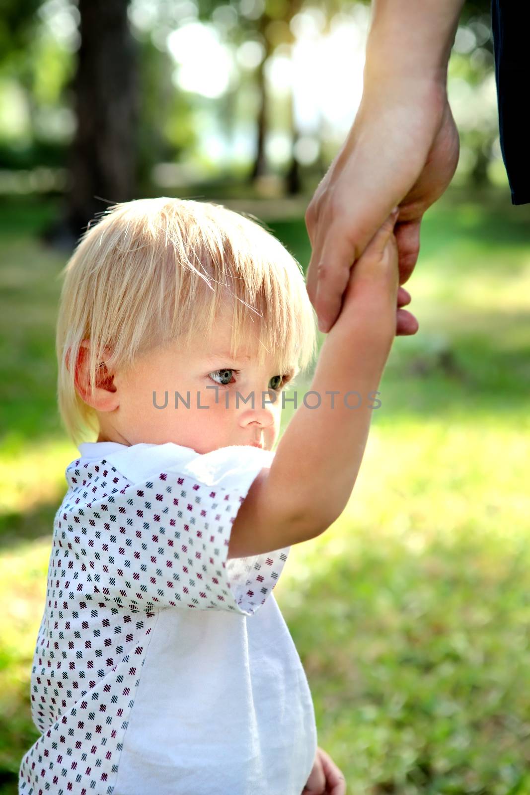 Sad Child hold the Parent Hand in the Summer Park