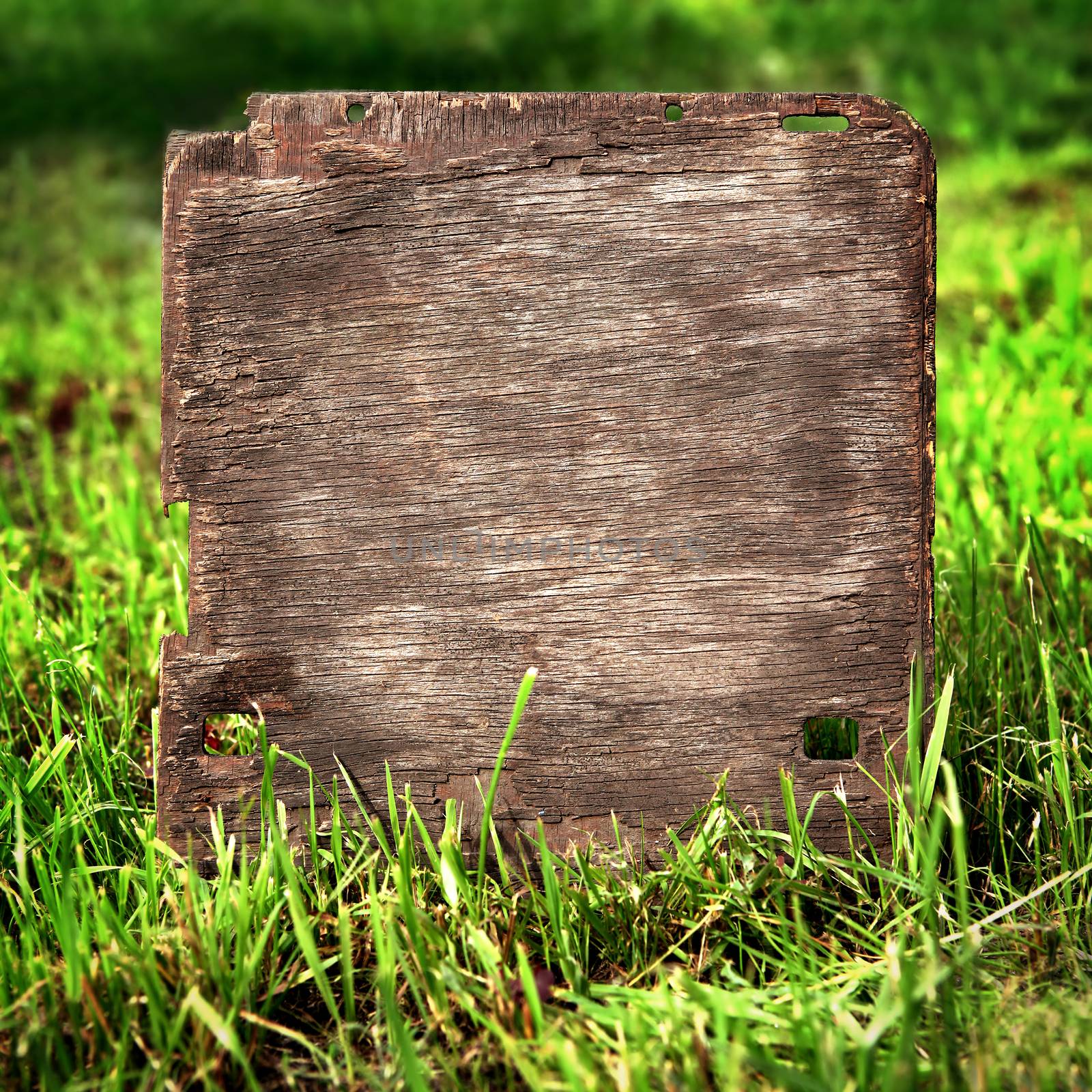 Wooden Board on the Grass by sabphoto