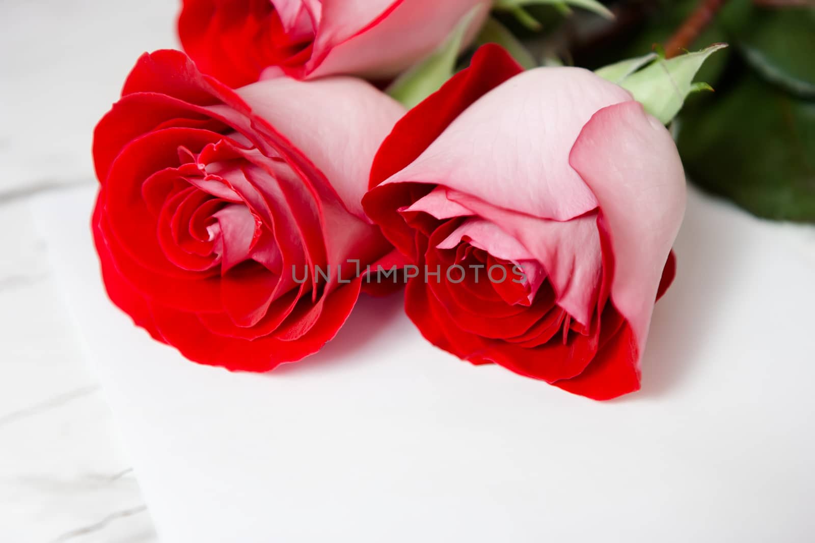 Three red roses and a blank sheet of paper