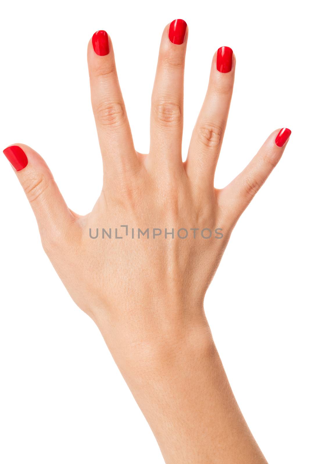 Woman with beautiful manicured red fingernails gracefully crossing her hands to display them to the viewer on a white background in a fashion, glamour and beauty concept