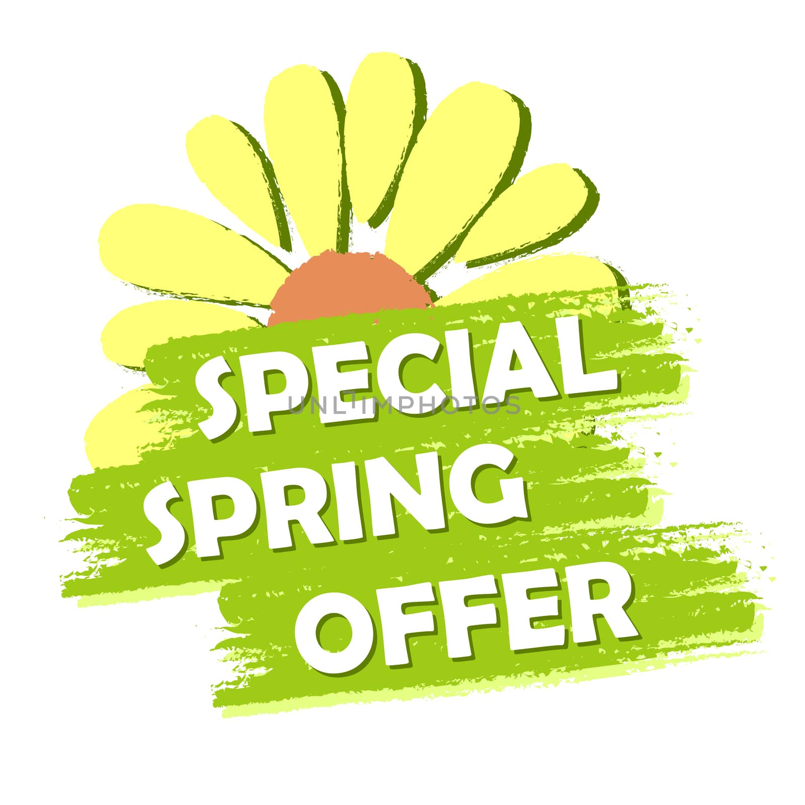 special spring sale banner - text and flower symbol in green drawn label, business shopping seasonal concept