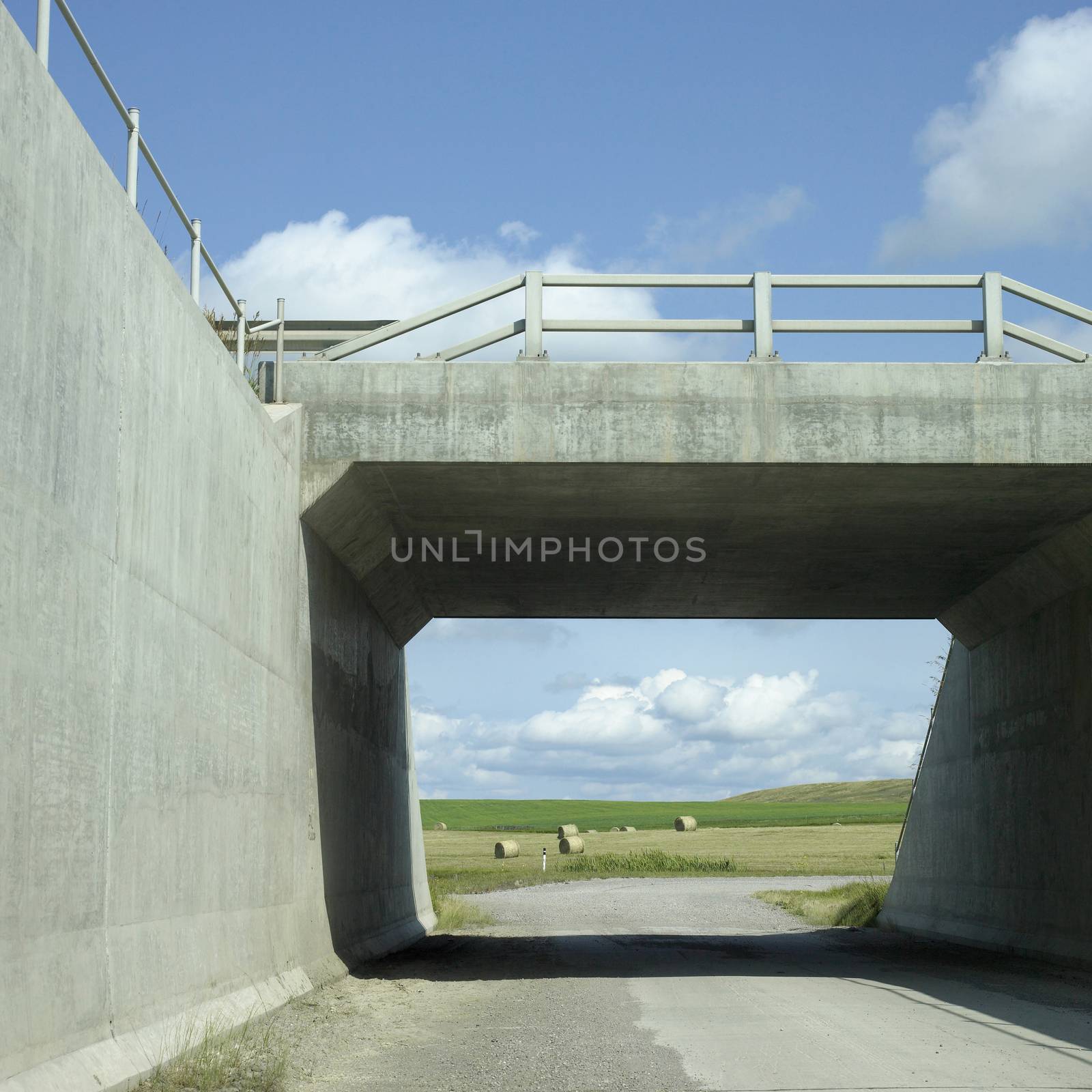 Rural tunnel by mmm