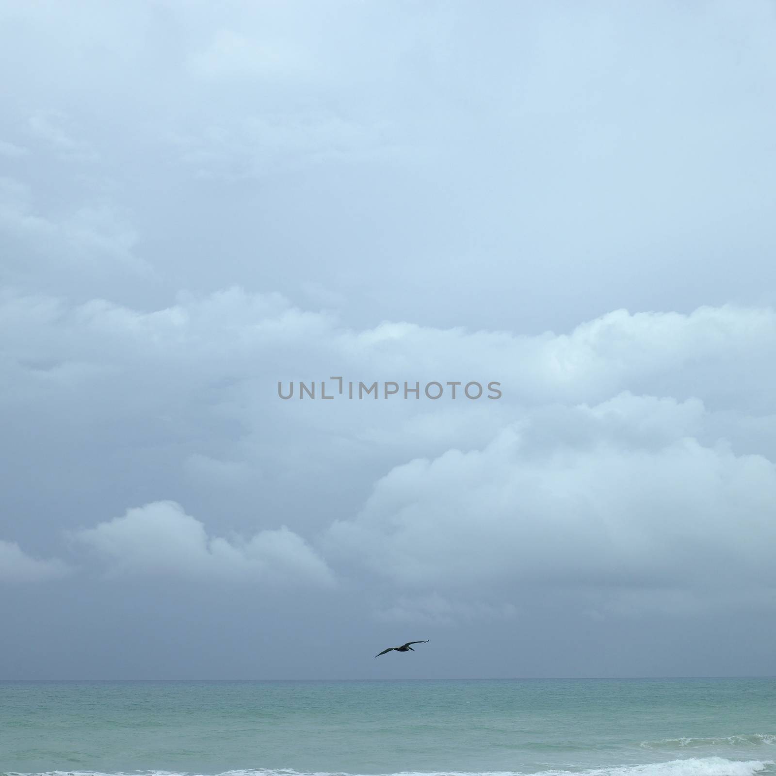 Pelican flying over turquoise water during a cloudy day