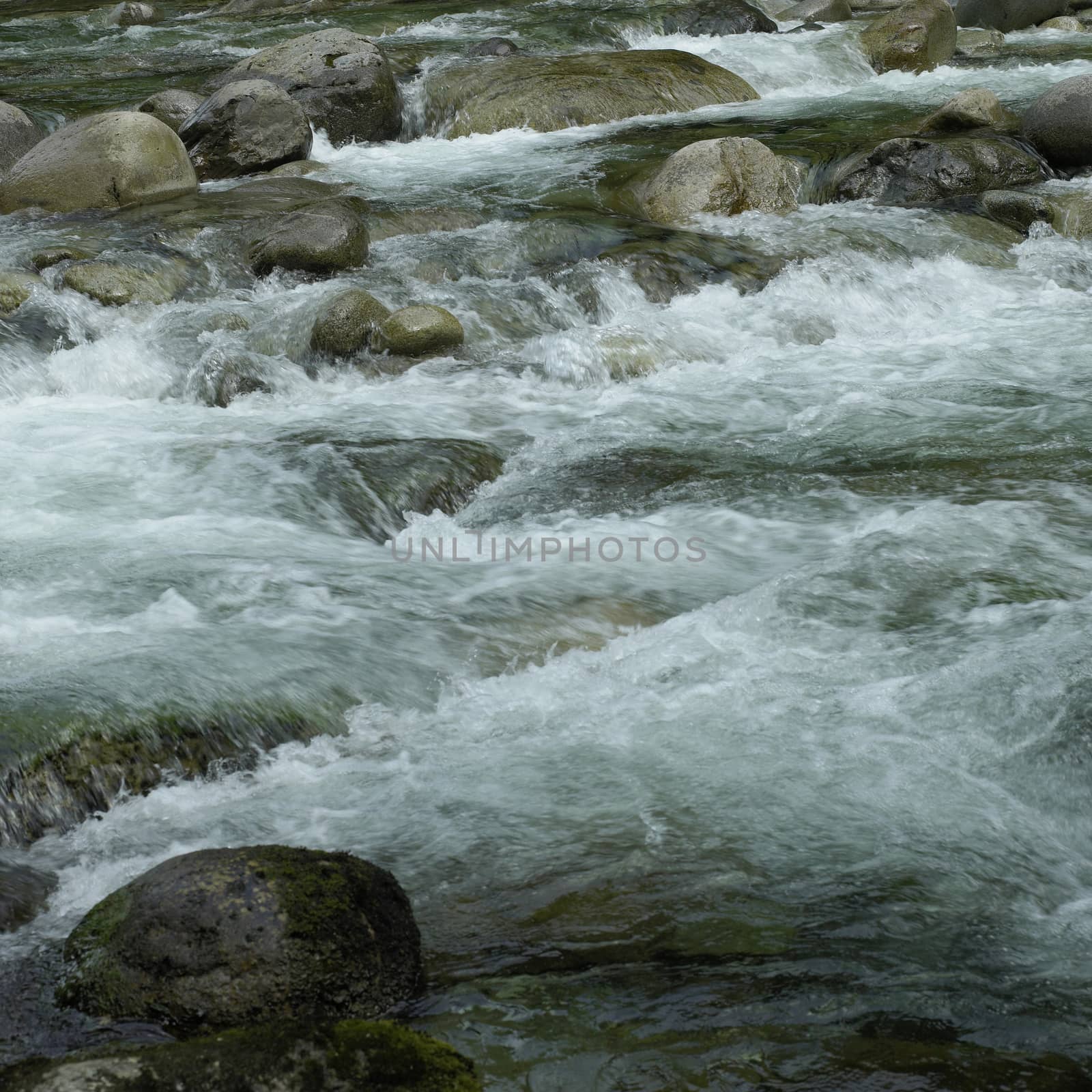 Clear mountain water flowing down a river
