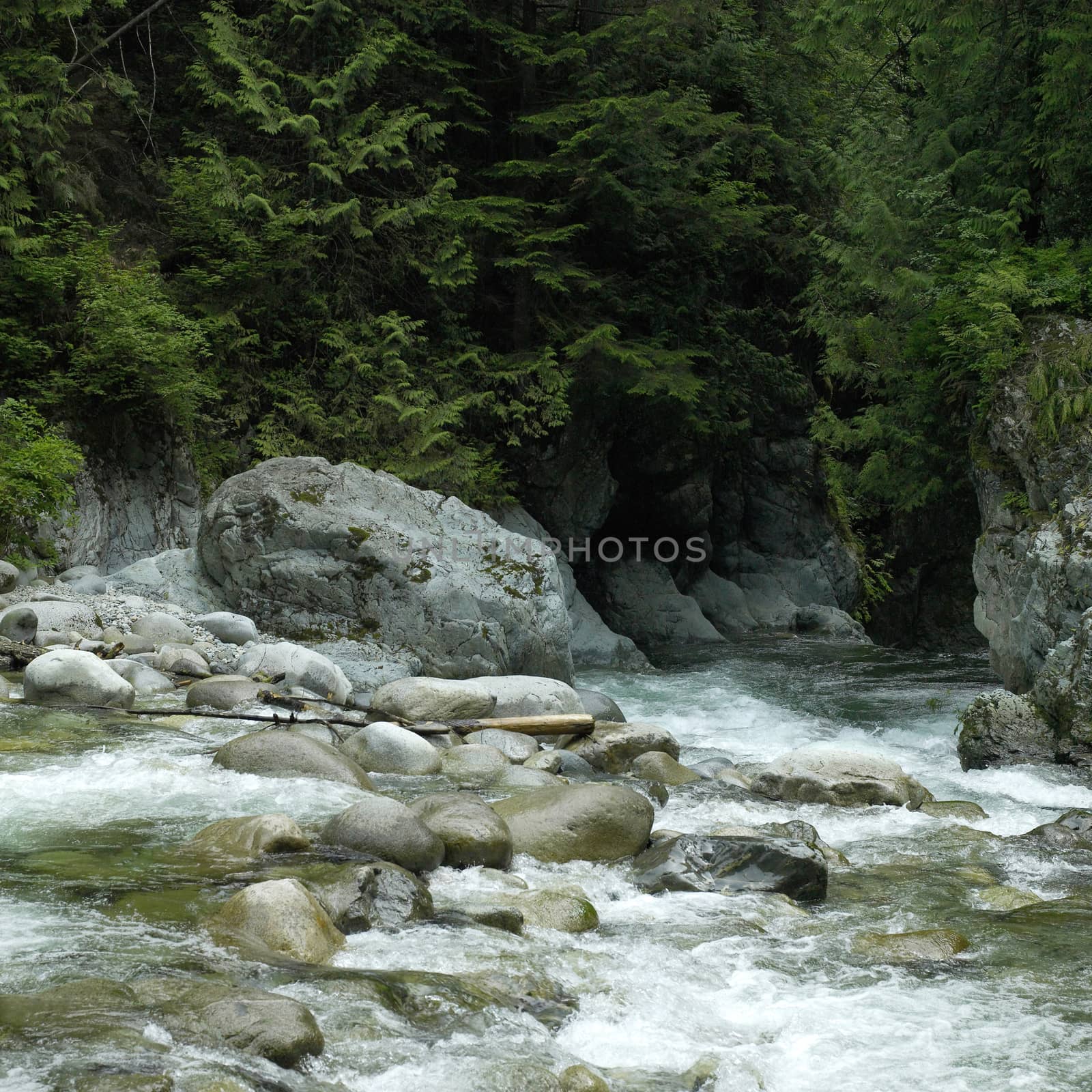 Clear mountain water flowing down a river