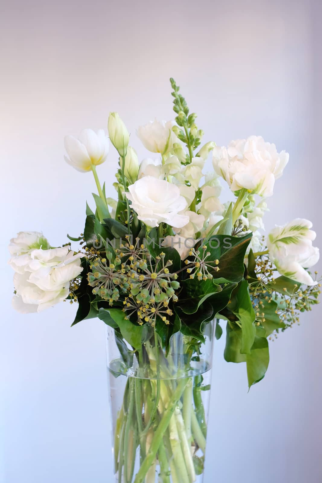 Bouquet of white and green flowers in a glass vase