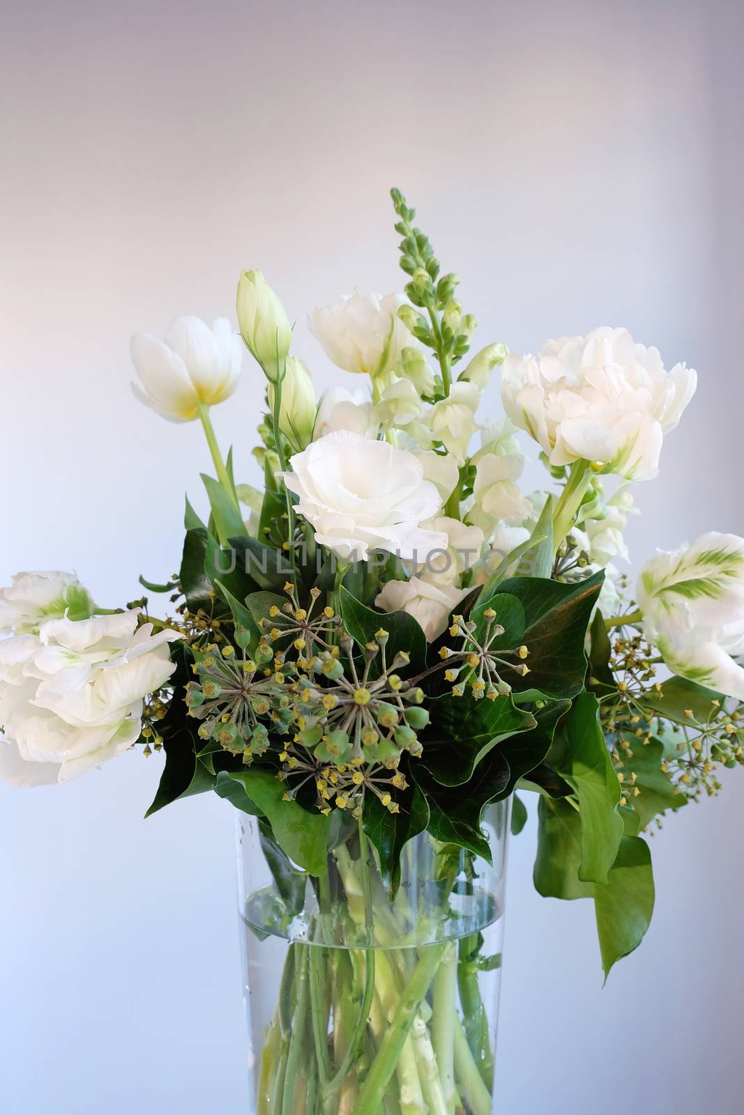 Bouquet of white and green flowers in a glass vase 