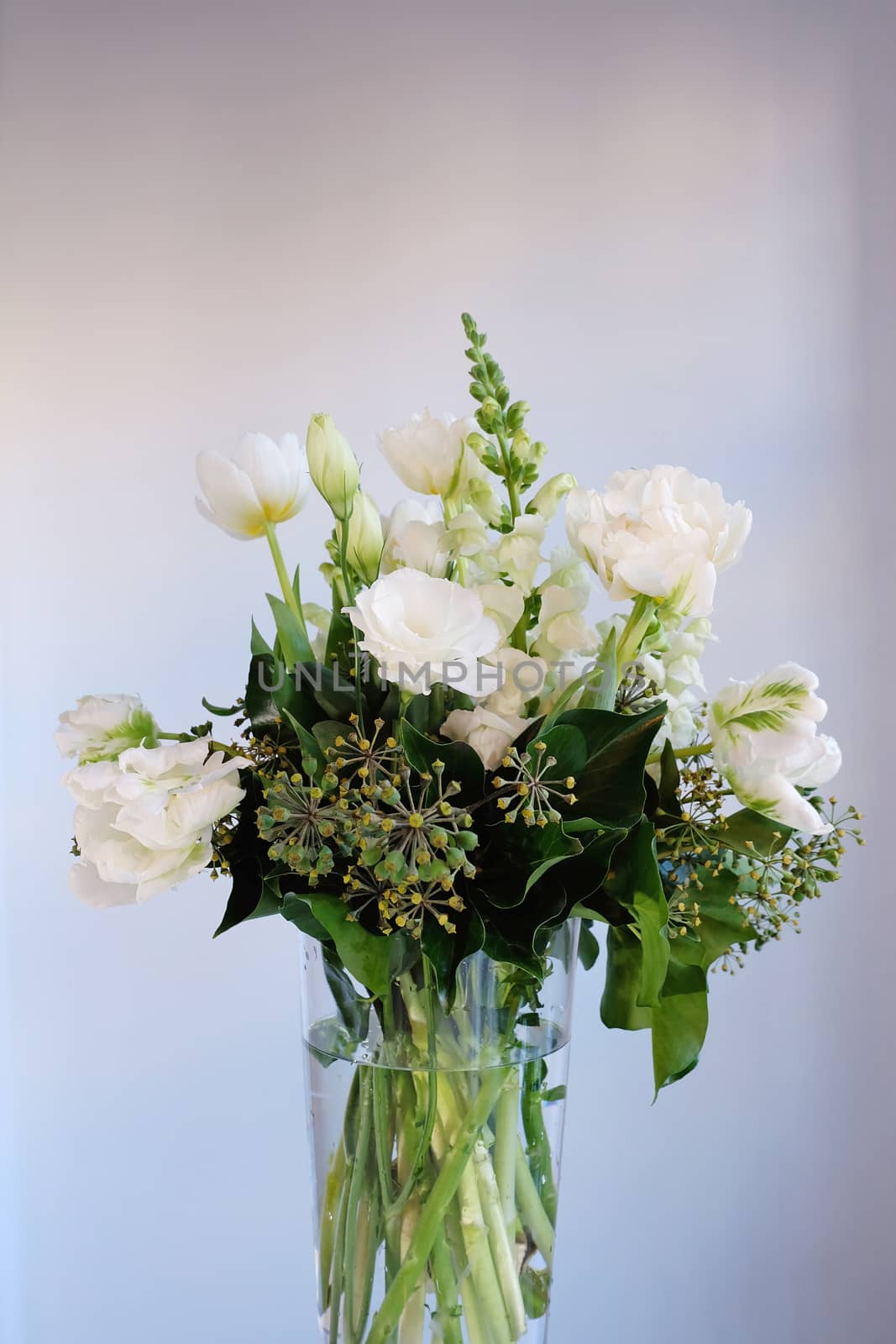 Bouquet of white and green flowers in a glass vase