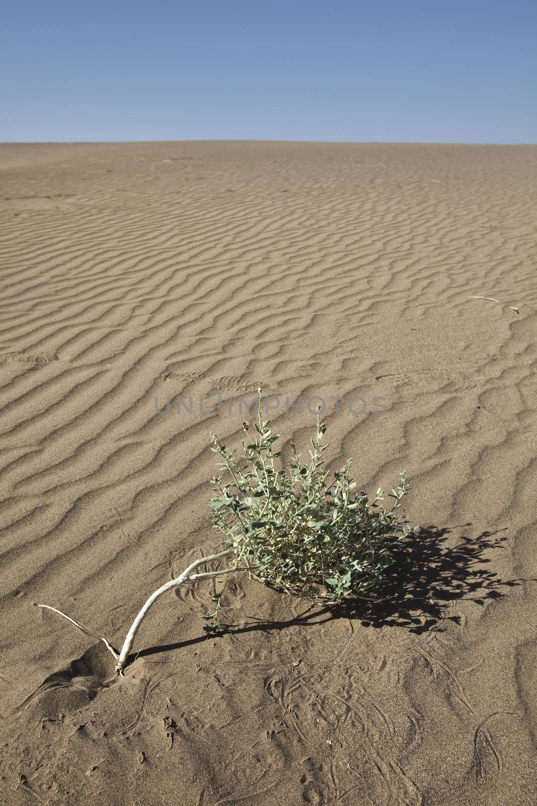 Sand background, wonderful saturated travel theme by JanPietruszka