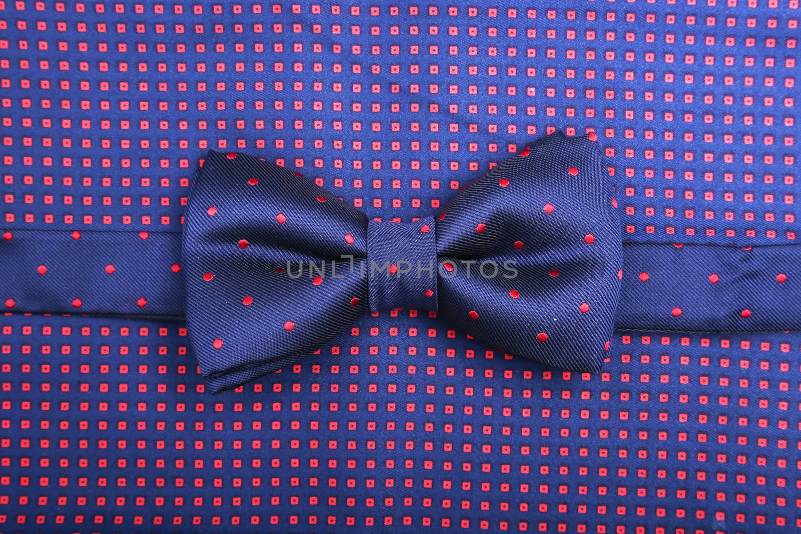 Bow tie on a dotted background